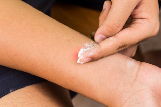 استفاده کاربردی و خلاقانه از نمک