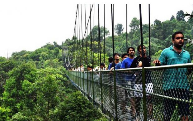 معرفی برترین جاذبه های گردشگری سنگاپور به روایت تصویر 9 جاذبه های گردشگری سنگاپور