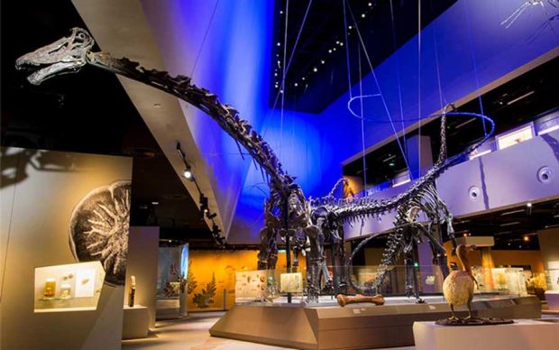 معرفی برترین جاذبه های گردشگری سنگاپور به روایت تصویر 5 جاذبه های گردشگری سنگاپور