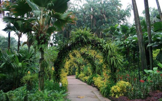 معرفی برترین جاذبه های گردشگری سنگاپور به روایت تصویر 14 جاذبه های گردشگری سنگاپور