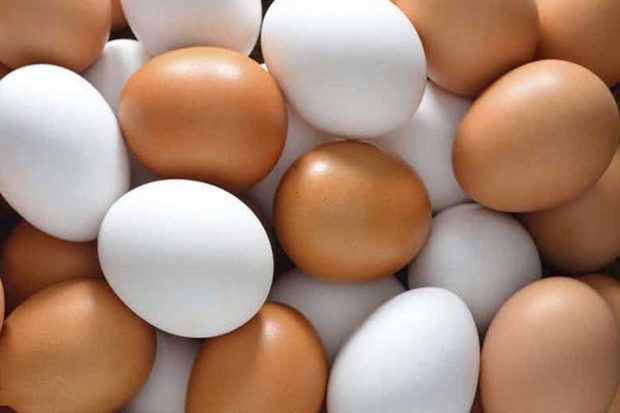 این حقایق دروغ در تصورات مردم کاملا واقعی پذیرفته شده است ؟ 6 حقایق دروغ