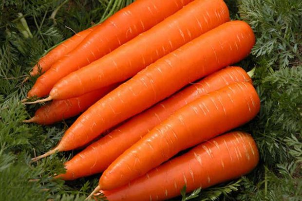 این حقایق دروغ در تصورات مردم کاملا واقعی پذیرفته شده است ؟ 8 حقایق دروغ