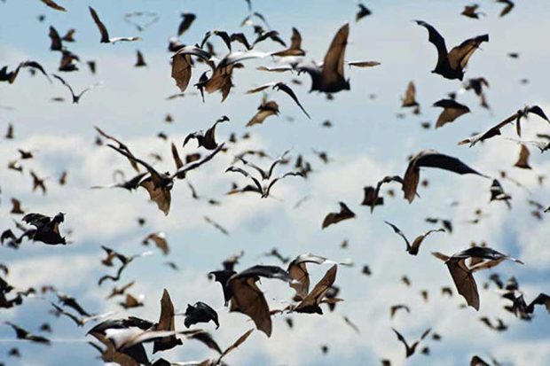 این حقایق دروغ در تصورات مردم کاملا واقعی پذیرفته شده است ؟ 4 حقایق دروغ