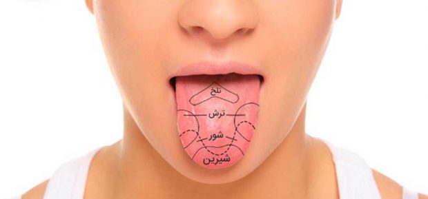 این حقایق دروغ در تصورات مردم کاملا واقعی پذیرفته شده است ؟ 7 حقایق دروغ