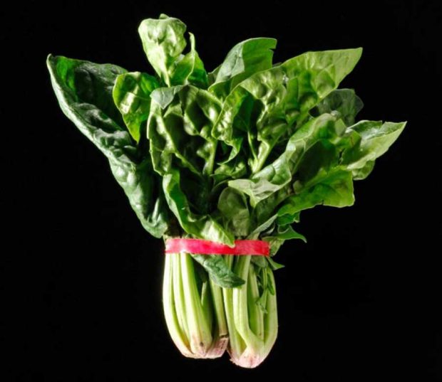 غذاهایی که باعث کاهش استرس می شوند