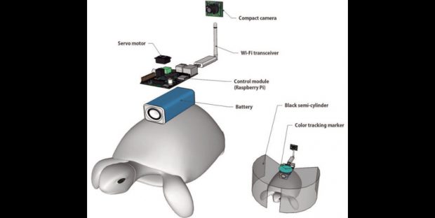 آزمایش موفق کنترل لاک پشت با ذهن انسان توسط محققان کره ای ؟ 2 کنترل موفقیت آمیز لاک پشت ها با ذهن انسان