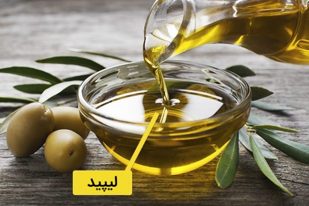 سلامت کبد