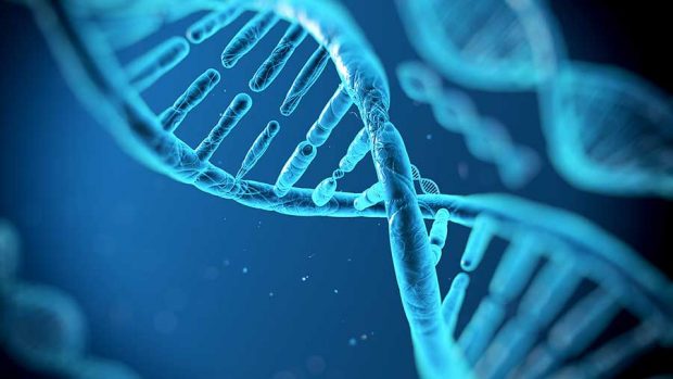 ذخیره اطلاعات بر روی DNA