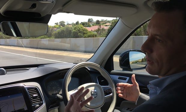 کانگوروهای استرالیایی