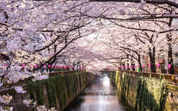 مکان های گردشگری