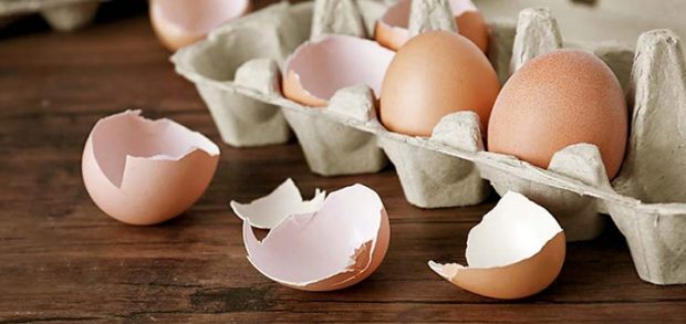 تبدیل پوست تخم‌ مرغ به انرژی پاک