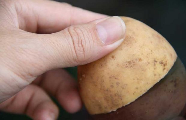 رفع بخار شیشه ماشین