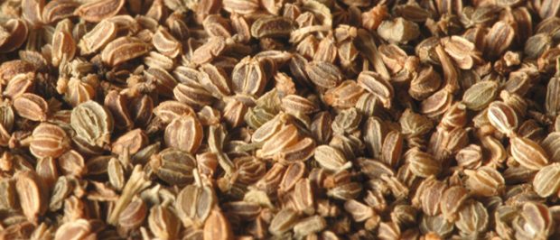 10 گیاه دارویی برای کاهش فشار خون 2 کاهش فشار خون