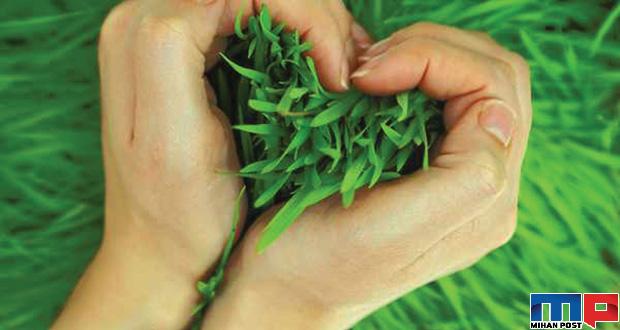 آشنایی با تاریخچه سیزده بدر و روز طبیعت در ایران 12 تاریخچه سیزده بدر