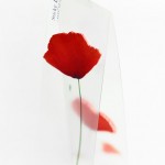 رومیزی فصلی جالب و کم هزینه برای نمایش تغییر فصل ها+عکس 4 2 رو میزی فصلی