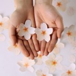 رومیزی فصلی جالب و کم هزینه برای نمایش تغییر فصل ها+عکس 12 cherryblossom07