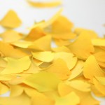 رومیزی فصلی جالب و کم هزینه برای نمایش تغییر فصل ها+عکس 15 gingko02