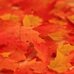 رومیزی فصلی جالب و کم هزینه برای نمایش تغییر فصل ها+عکس 18 marple02