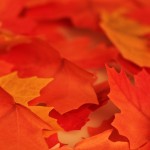 رومیزی فصلی جالب و کم هزینه برای نمایش تغییر فصل ها+عکس 16 marple03