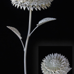 3D Flowers Printing 16 638x1024