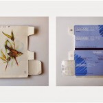 Sara Landeta Birds 062