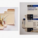 Sara Landeta Birds 08