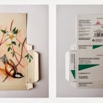 Sara Landeta Birds 09