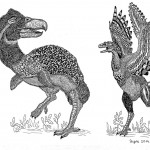 نگاهی به نقاشی های خارق العاده نابغه ۱۱ ساله +عکس 12 detailed pen drawings prodigy dusan krtolica 4