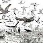 نگاهی به نقاشی های خارق العاده نابغه ۱۱ ساله +عکس 14 detailed pen drawings prodigy dusan krtolica 6