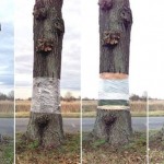 swcpzydvf4tutuvn8198