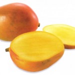 2012 06 27 070529mango fruit1