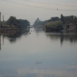 سفری به طبیعت زیبای تالاب شادگان «ونیز دیدنی ایران» + عکس 29 4826