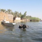 سفری به طبیعت زیبای تالاب شادگان «ونیز دیدنی ایران» + عکس 27 4827