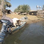 سفری به طبیعت زیبای تالاب شادگان «ونیز دیدنی ایران» + عکس 28 4828