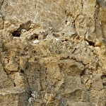 owl camouflage disguise 16