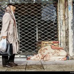 کارتنخواب هایی که مستاجر نیستند + عکس 7 1417936273063 7014