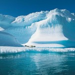 edcb800dfea228fb71ea324fb22da6ca dArt North Pole vol 1