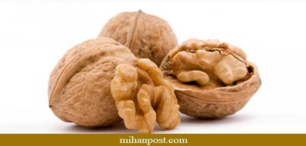خواص مغز گردو
