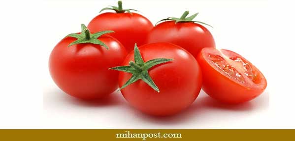 گوجه فرنگي1