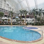 New Century Global 1762142a