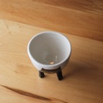 گلدان هایی زیبا برای کاکتوس های دوست داشتنی + عکس 9 71ffeed4