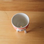 گلدان هایی زیبا برای کاکتوس های دوست داشتنی + عکس 8 fd033f00