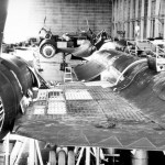 d19sdgelwey9oljjxqb0