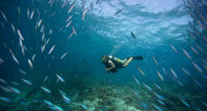 سفری به زیباترین جزیرهی مرجانی و توریستی دنیا + عکس 12 DSC 5694