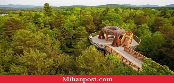 New Wild Center attraction provides elevated journey through Adirondacks 1