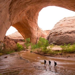 طبیعت شمال آمریکا