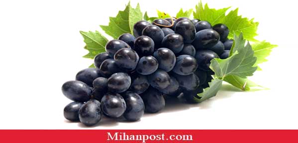 black grapes1