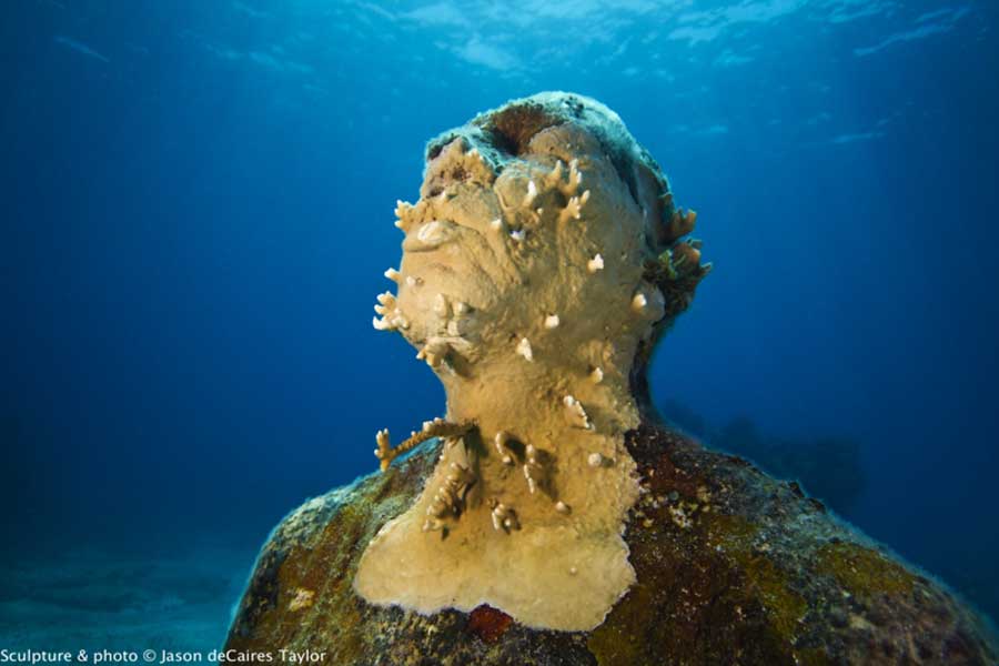 underwater sculpture museum 7