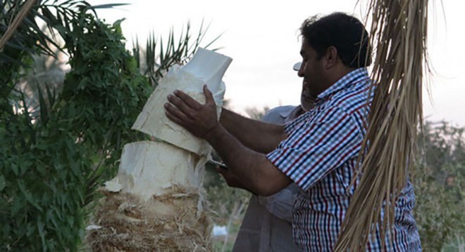 پنیر خرما 14