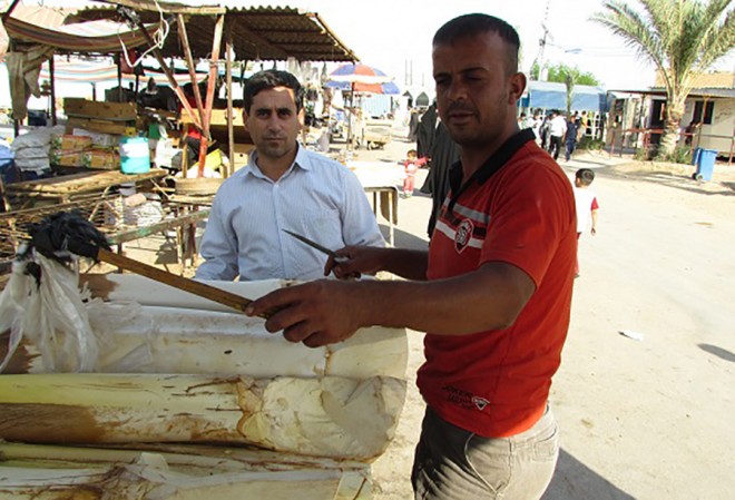 پنیر خرما 18